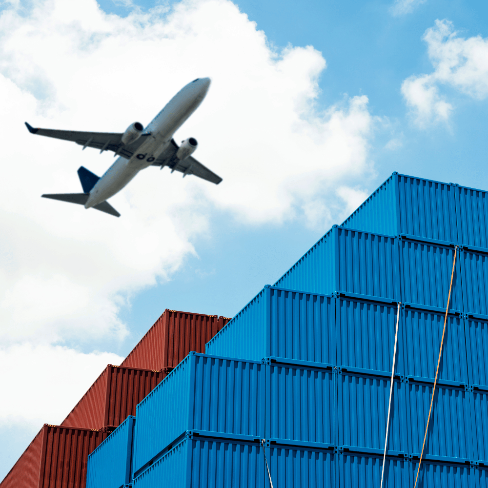 Management System Services